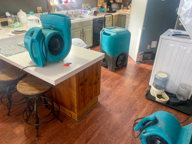 Best Emergency water damage restoration  in Old Mystic, CT