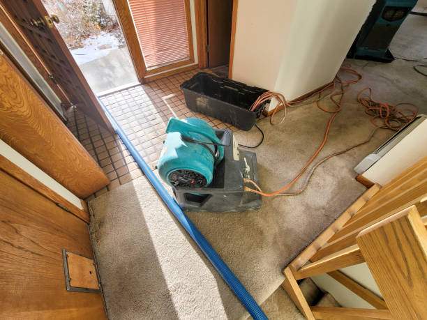 Best Water damage cleanup near me  in Old Mystic, CT