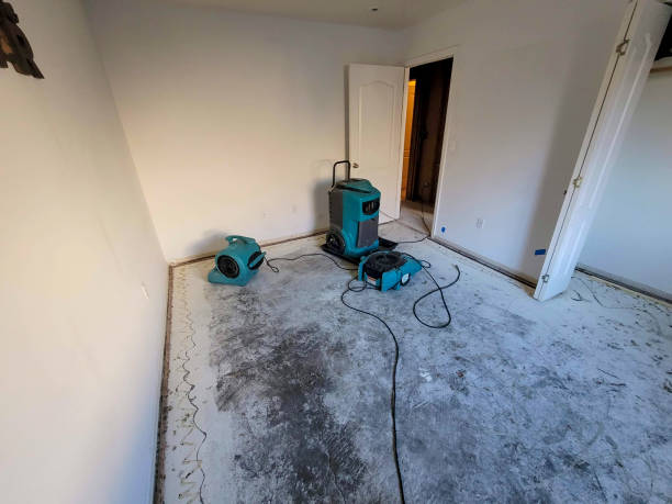 Best Flood restoration services  in Old Mystic, CT