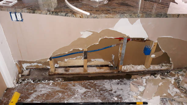 Best Mold removal after water damage  in Old Mystic, CT