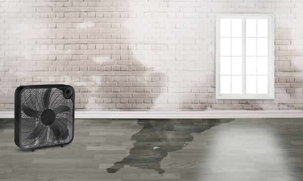 Best Emergency water damage restoration  in Old Mystic, CT