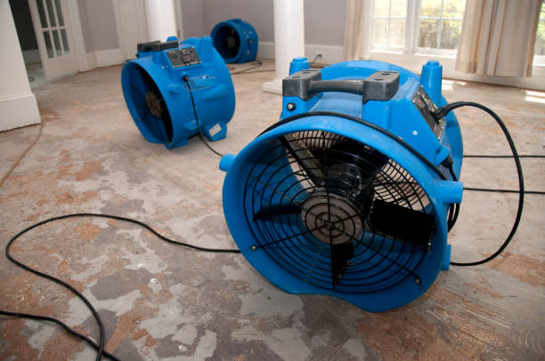 Best Water damage restoration cost  in Old Mystic, CT