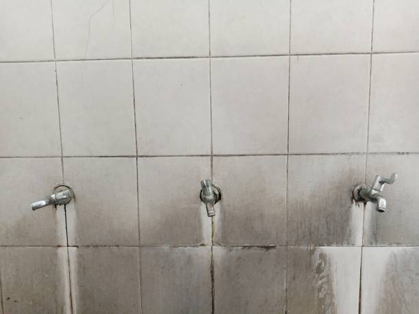 Best Water damage restoration process  in Old Mystic, CT